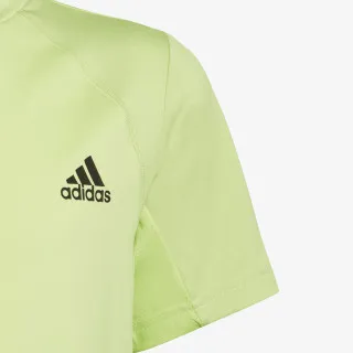 adidas B XFG AR TEE