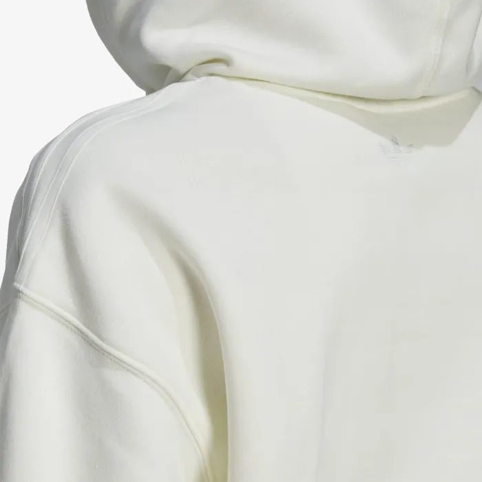 adidas GRAPHIC HOODIE 
