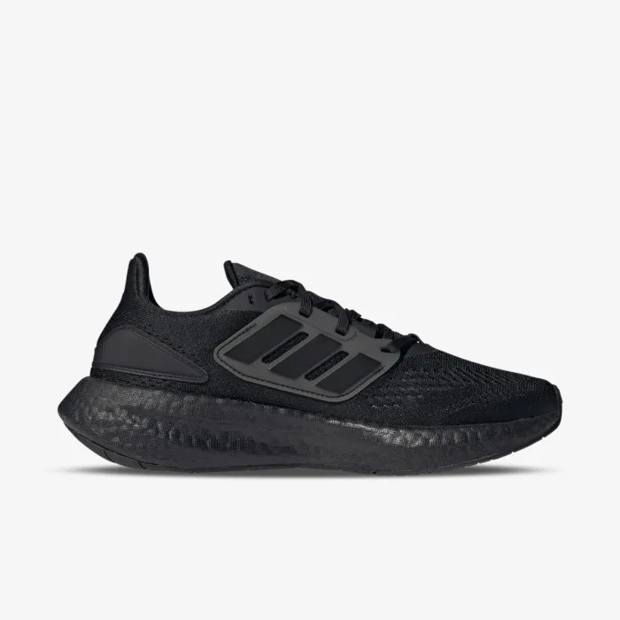 PUREBOOST 22 W 