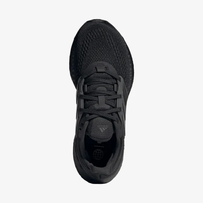 PUREBOOST 22 W 
