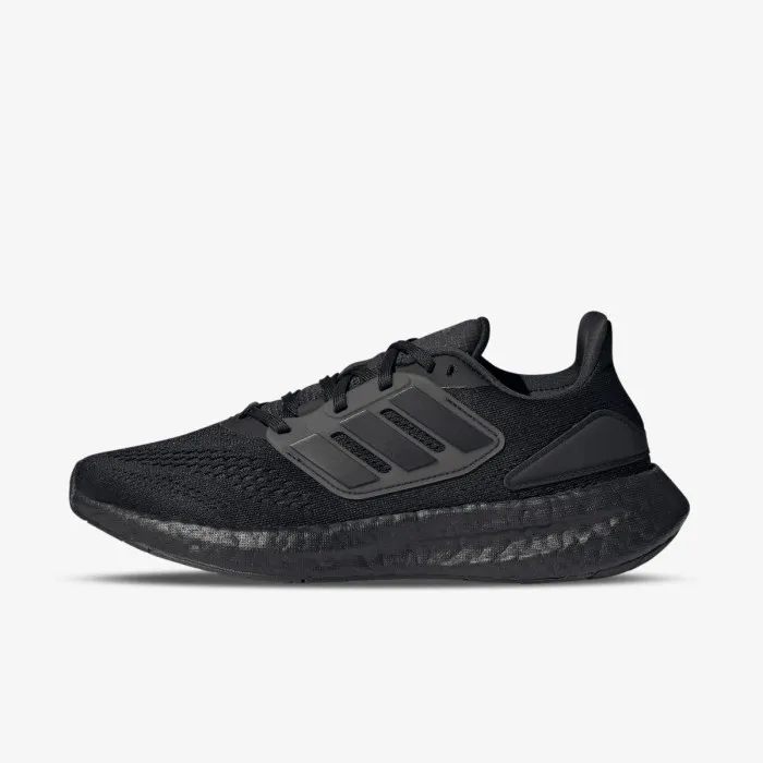 PUREBOOST 22 W 