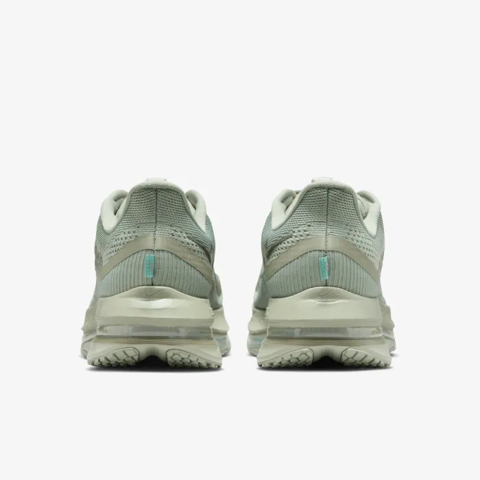 Nike NIKE PEGASUS PREMIUM 