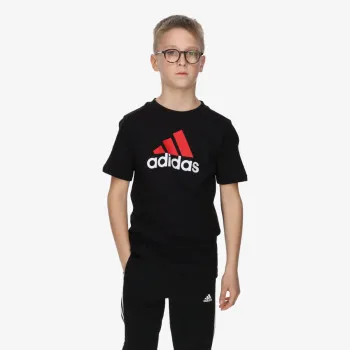 ESSENTIALS TWO-COLOR BIG LOGO 