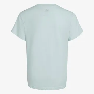 adidas TREFOIL TEE