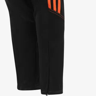 adidas TIRO23 CBTRPNTY