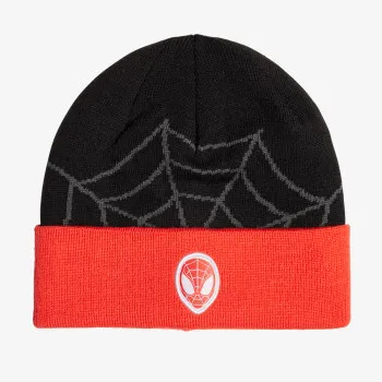 SPIDER-MAN BEAN 