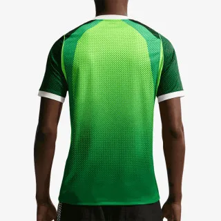 Nike NFF M NK DF JSY SS STAD HM 