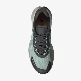 adidas TERREX SOULSTRIDE FLOW GTX W
