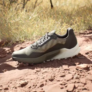 adidas TERREX AGRAVIC FLOW 2 GTX