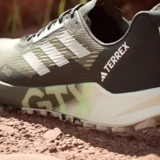 adidas TERREX AGRAVIC FLOW 2 GTX