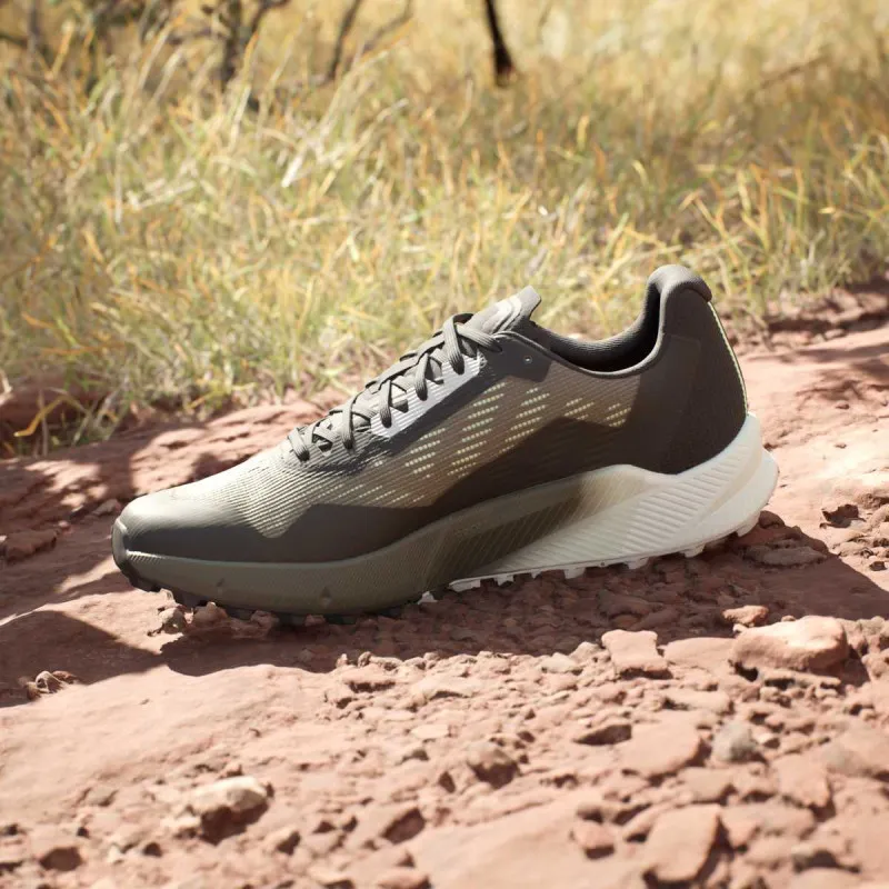 adidas TERREX AGRAVIC FLOW 2 GTX