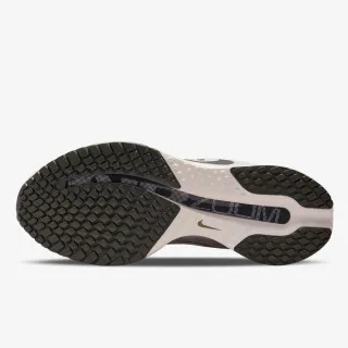 Nike NIKE PEGASUS PREMIUM RUN 