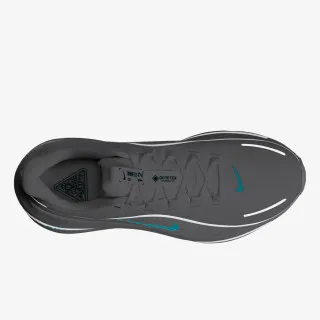 Nike NIKE AIR WINFLO 12 GTX 