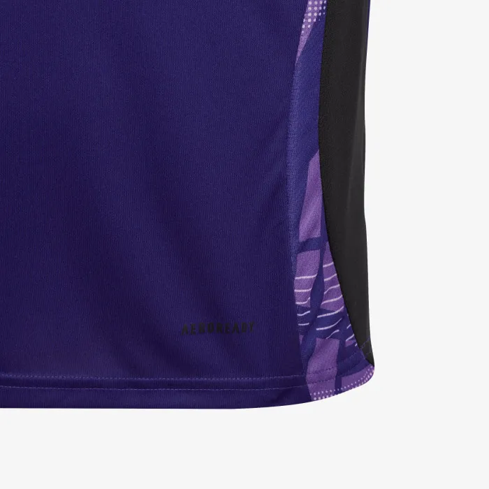 adidas DFB TR JSY Y 
