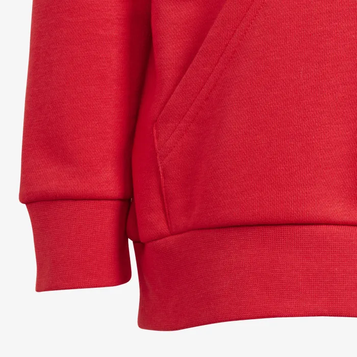 adidas Souprava Adicolor Hoodie 