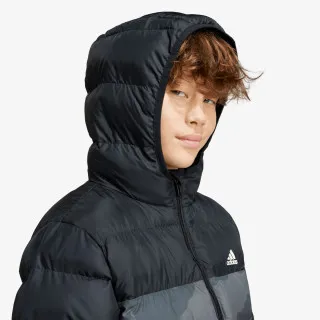 adidas J SD AOP JKT