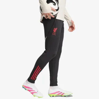 adidas LFC TR PNT