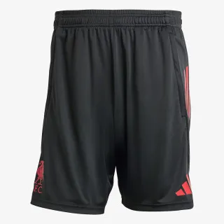 adidas LFC TR SHO