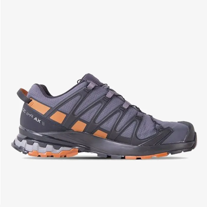 SALOMON XA PRO 3D v8 GTX 