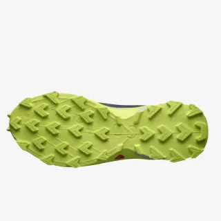 SALOMON ALPHACROSS 4 GTX