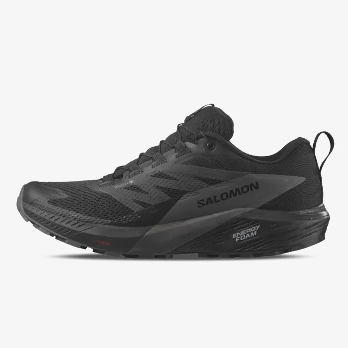 SALOMON SENSE RIDE 5 GTX 