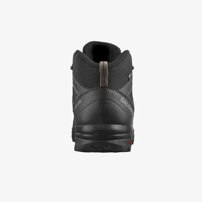 SALOMON X BRAZE MID GTX 