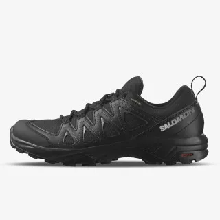 SALOMON SALOMON X BRAZE GTX