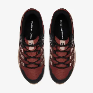 SALOMON EXTEGRA GTX W Henna/R 