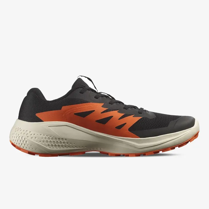 SALOMON ALPHAGLIDE 