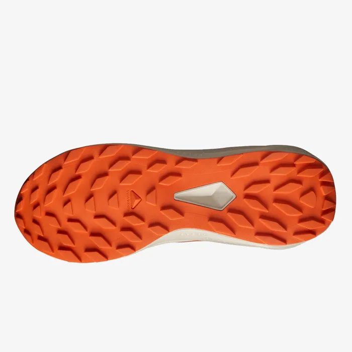 SALOMON ALPHAGLIDE 