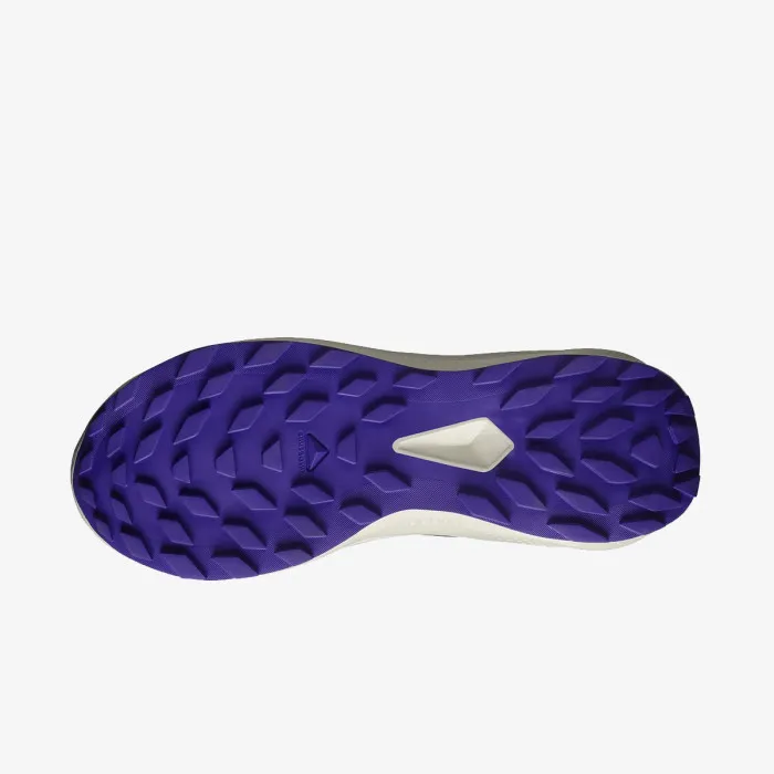 SALOMON ALPHAGLIDE W 
