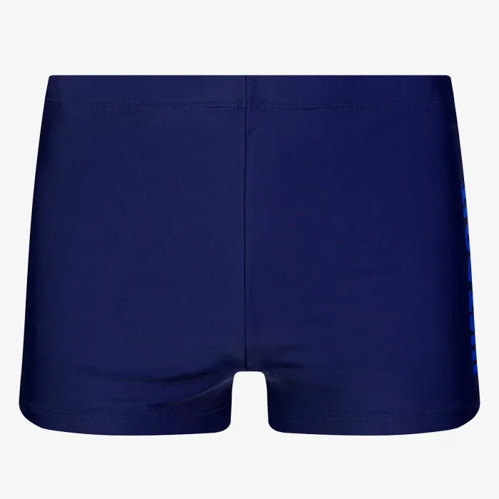 Nike JDI AQUASHORT 