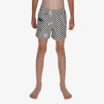 Nike 4 Volley Short 