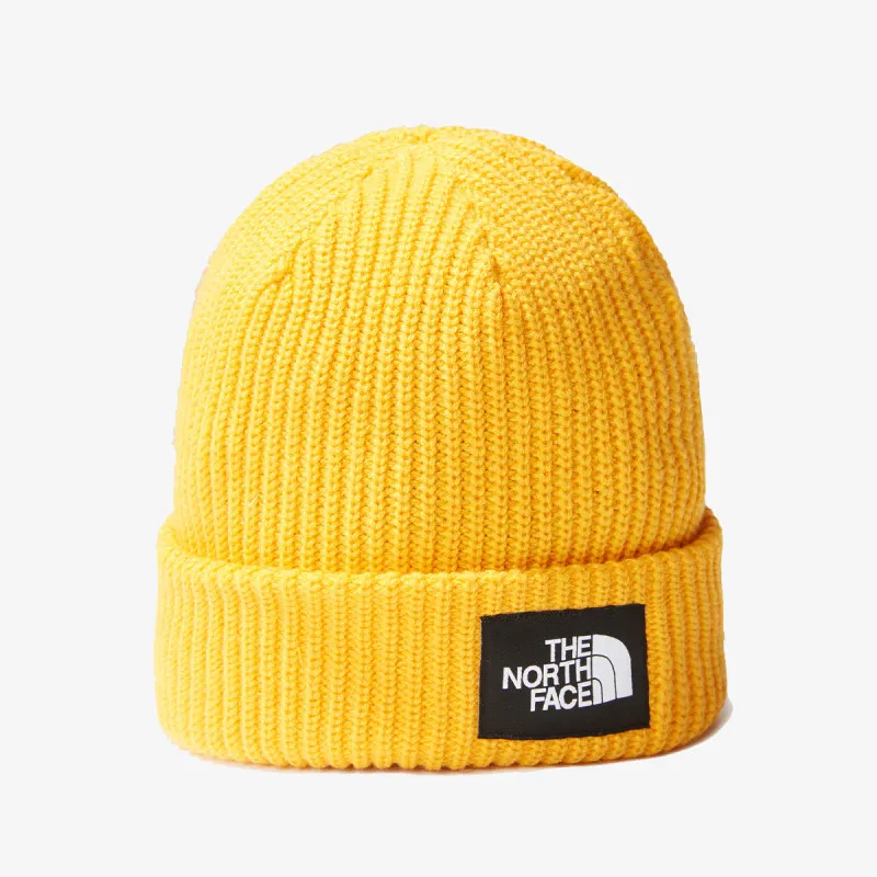 THE NORTH FACE SALTY DOG LINED BEANIE