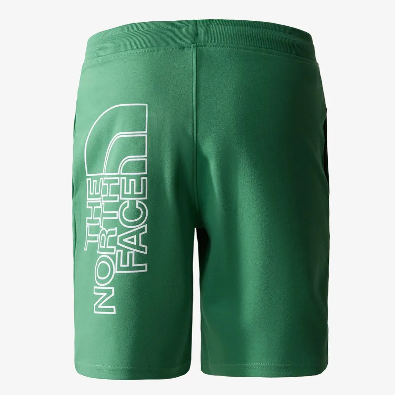 THE NORTH FACE Men’s Graphic Short Light-Eu