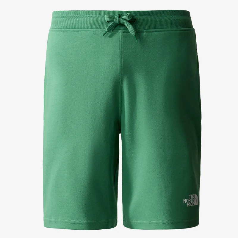THE NORTH FACE Men’s Graphic Short Light-Eu