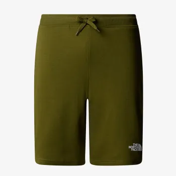 THE NORTH FACE M GRAPHIC SHORT LIGHT-EU FOREST OLIVE 