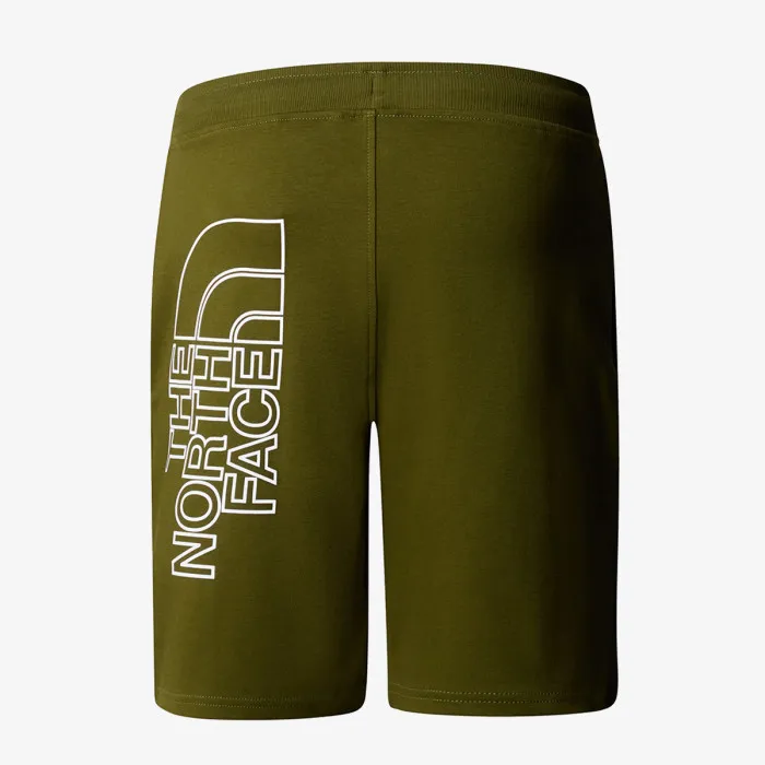THE NORTH FACE M GRAPHIC SHORT LIGHT-EU FOREST OLIVE 