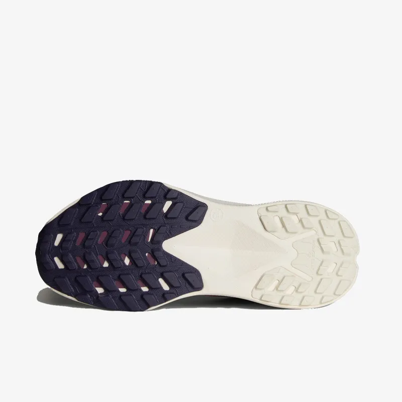 THE NORTH FACE W ALTAMESA 300