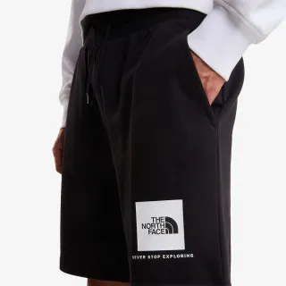 THE NORTH FACE BOX NSE LIGHT REGULAR SHORTS 