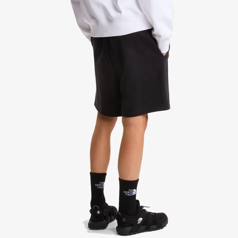 THE NORTH FACE BOX NSE LIGHT REGULAR SHORTS 