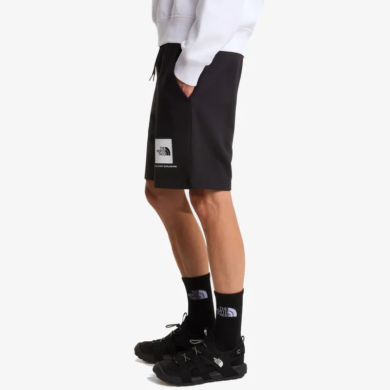 THE NORTH FACE BOX NSE LIGHT REGULAR SHORTS 