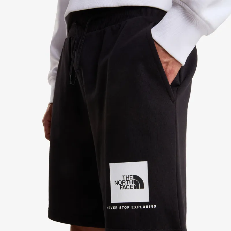 THE NORTH FACE BOX NSE LIGHT REGULAR SHORTS 
