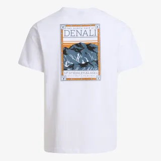 THE NORTH FACE NORTH FACES REG SS TEE 