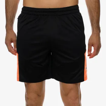 INDIVIDUALFINAL TRAINING SHORTS 
