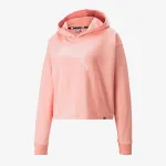 PUMA POWER SUMMER GRAPHIC HOODIE TR 