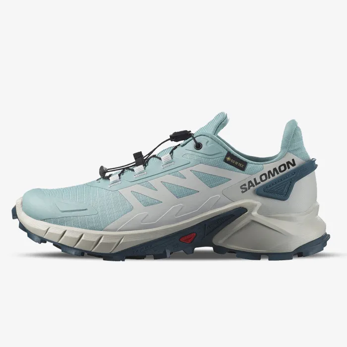 SALOMON SUPERCROSS 4 GTX W 