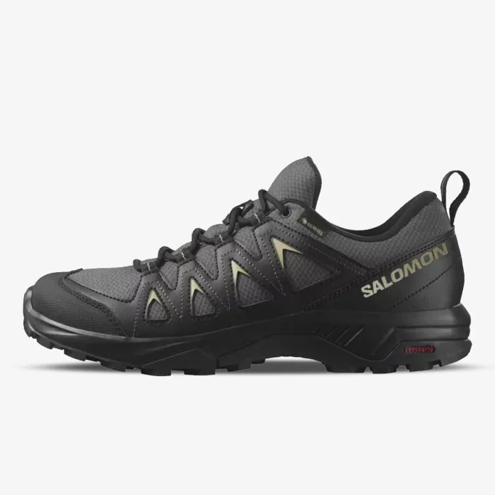 SALOMON X BRAZE GTX 