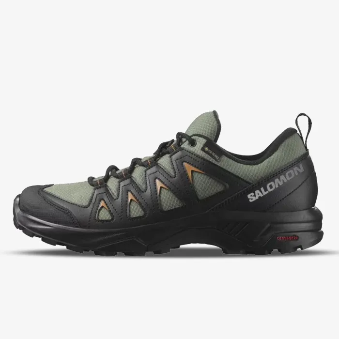 SALOMON X BRAZE GTX 
