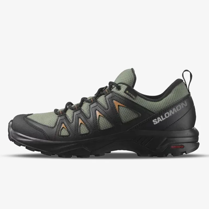 SALOMON X BRAZE GTX 